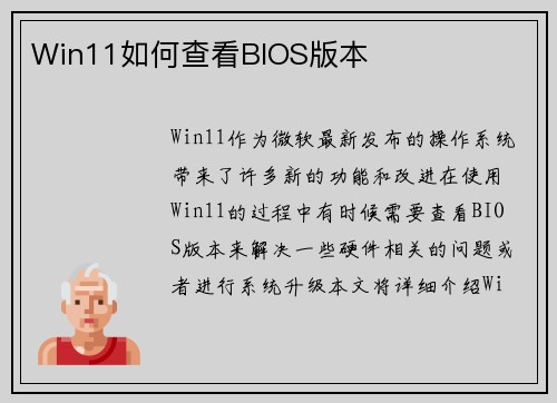 Win11如何查看BIOS版本