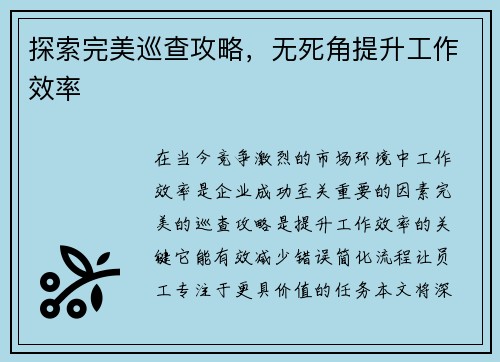 探索完美巡查攻略，无死角提升工作效率